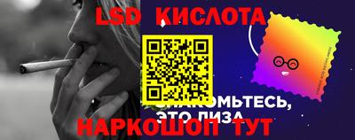 амф Гусев