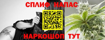гашик Гай