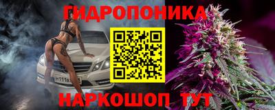 гашик Гай