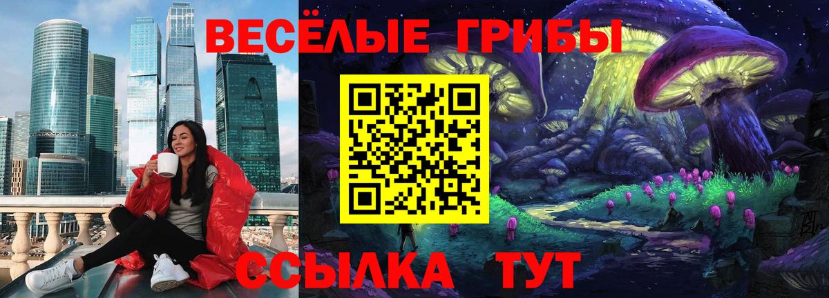 Псилоцибиновые грибы мухоморы Новокуйбышевск